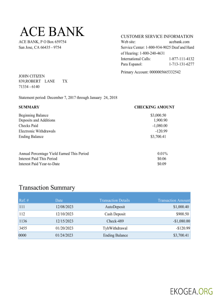 Modèle Word et PDF de relevé bancaire USA ACE scr